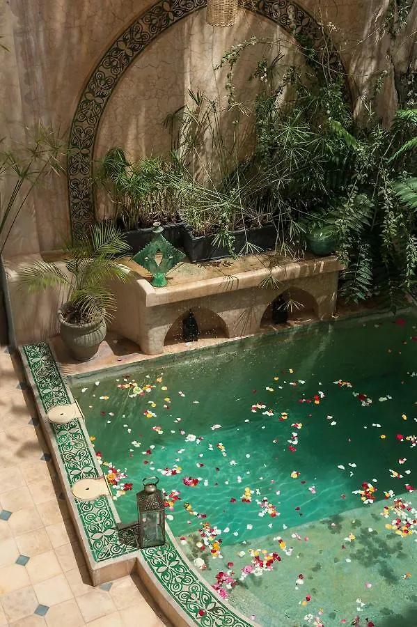 Riad La Cle De La Medina, Location En Exclusivite